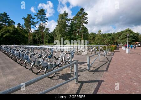 Parcheggio per biciclette all'ingresso del Parco Nazionale De Hoge Veluwe, Paesi Bassi Foto Stock