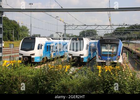 Stadler flirt di Blauwnet e SNG di NS al cantiere di scuderia a Zwolle Foto Stock