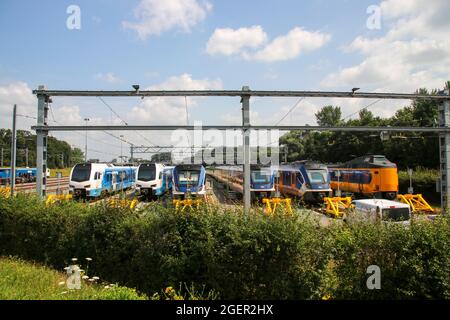 Stadler flirt di Blauwnet e SNG + ICM koploper treni di NS al cantiere di shunting a Zwolle Foto Stock