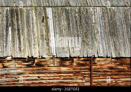 Il primo piano del granaio di tronchi mostra tronchi intagliati e montati. La linea del tetto è in pannelli di tenuta stratificati. Foto Stock
