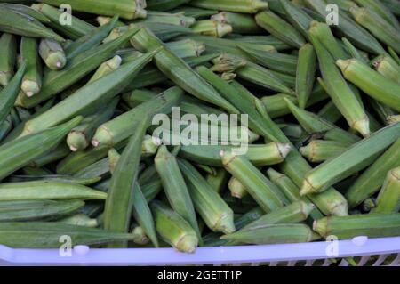 Copenaghen, Danimarca., 21 agosto 2021, Okra vegetali in vendita sul mercato alimentare nella capitale danese. (Foto..Francis Joseph Dean/Dean Pictures) Foto Stock