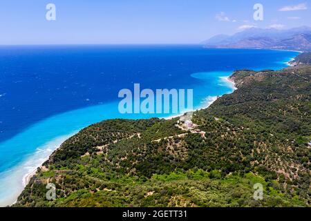 Vista aerea della bellissima spiaggia di sabbia con ulivi sulla costa albanese vicino a Qeparo, Albania, Europa Foto Stock