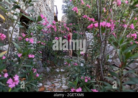 Donna tra i fiori di oleandro su una strada stretta nel vecchio villaggio di Qeparo, Albania Foto Stock