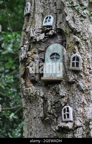 Casa delle fate in un albero. Ci sono diverse finestre e una porta sull'albero. La struttura del tronco appare ruvida Foto Stock