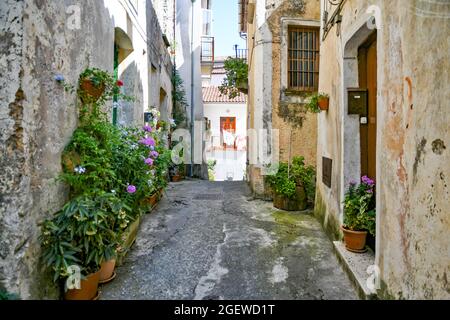 Una strada nel centro storico di Rivello, città medievale della Basilicata. Foto Stock