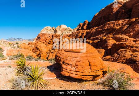 I motivi di erosione si formarono nell'arenaria azteca delle colline di Calico, il Red Rock Canyon NCA, Las Vegas, Nevada, USA Foto Stock