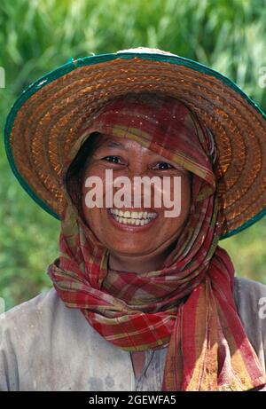 Thailandia. Chiang Rai. Vicino all'aperto di donna coltivatore di riso. Foto Stock