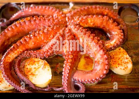 Pulpo Gallego - polpo galiziano intero. Polpo cotto servito con patate e paprika Foto Stock