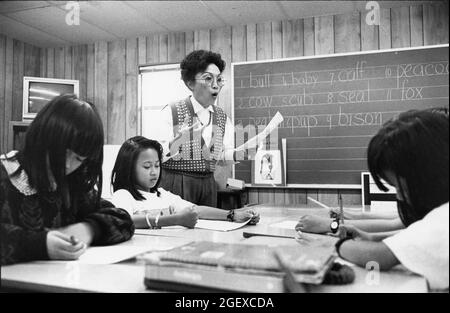 Austin Texas USA, circa 1993: Insegnante femminile vietnamita-americana con studenti vietnamita-americani in 2° - 5° grado in inglese come seconda lingua (ESL) alla Walnut Creek Elementary School. ©Bob Daemmrich Foto Stock