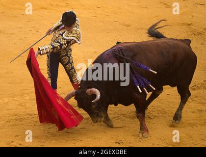 Malaga, Spagna. 21 Agosto 2021. Il corazzatore spagnolo Salvador Vega esegue un passo ad un toro durante una corrida a la Malagueta bullring.Bullfighting è una tradizione controversa in Spagna criticata da organizzazioni a favore dei diritti degli animali a causa della crudeltà corride. (Foto di Jesus Merida/SOPA Images/Sipa USA) Credit: Sipa USA/Alamy Live News Foto Stock