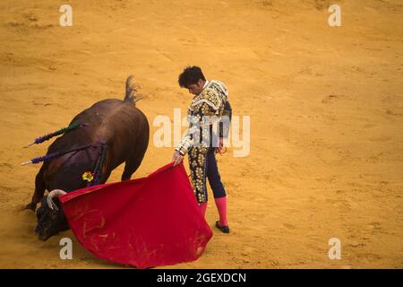 Malaga, Spagna. 21 Agosto 2021. Il corazzatore spagnolo Salvador Vega esegue un passo ad un toro durante una corrida a la Malagueta bullring.Bullfighting è una tradizione controversa in Spagna criticata da organizzazioni a favore dei diritti degli animali a causa della crudeltà corride. (Foto di Jesus Merida/SOPA Images/Sipa USA) Credit: Sipa USA/Alamy Live News Foto Stock