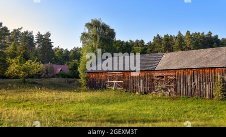 Vecchio, fienile in legno situato sul prato in serata Sun. Foresta ald litlle cottage sullo sfondo. Bellissimo paesaggio rurale. Roztocze, Polonia. Foto Stock