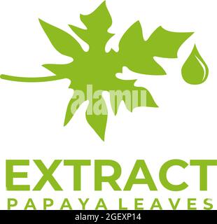 Papaya foglie erboristeria logo modello vettoriale Illustrazione Vettoriale