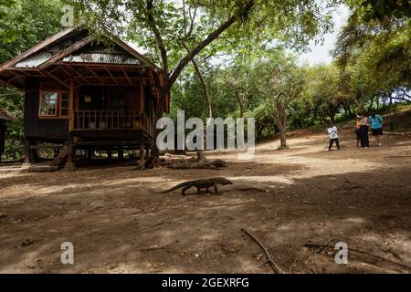 Guida turistica con turisti in piedi di fronte alla casa di legno Foto Stock