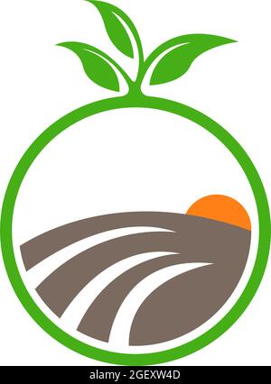 Illustrazione vettoriale di terreni agricoli, sole e foglie in cerchio, ideale per icone e loghi botanici, agricoli e naturali Illustrazione Vettoriale
