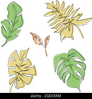 Insieme di foglie monstera nel vettore di contorno Illustrazione Vettoriale