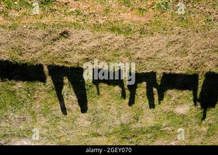 Scatto fotografico dell'ombra prodotto dai vestiti appesi ad asciugare al sole Foto Stock