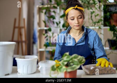 Giovane donna in grembiule che si prepara per trapiantare piante in un nuovo vaso a casa Foto Stock