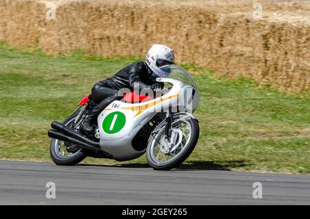 1963 Honda RC164 moto che corre su la pista di salita al Goodwood Festival of Speed Motor Racing evento 2014. Guidato da Stuart Graham Foto Stock