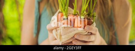 Carota in una borsa riutilizzabile nelle mani di una giovane donna. BANNER concetto zero waste, FORMATO LUNGO Foto Stock