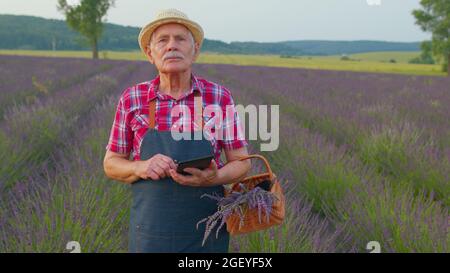 Nonno agricoltore senior che cresce lavanda, tiene tablet digitali ed esamina il raccolto sul campo Foto Stock