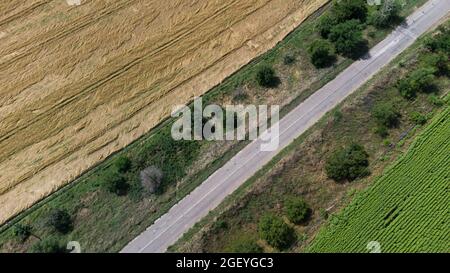 Auto pista che scorre attraverso il grano e campi di girasole fotografia aerea Foto Stock