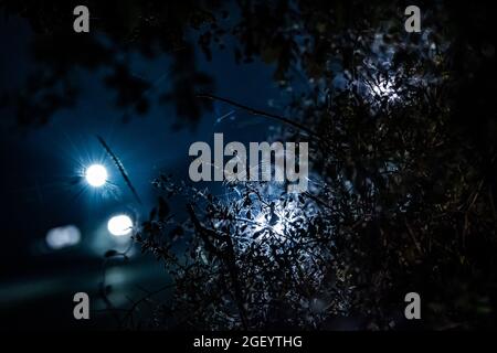 Le Mans, Francia. 22 agosto 2021. Ambiente toile d'araignee ragno web durante la notte alla 24 ore di le Mans 2021, 4° round del FIA World Endurance Championship 2021, FIA WEC, sul circuito de la Sarthe, dal 21 al 22 agosto 2021 a le Mans, France - Photo Germain Hazard/DPPI Credit: Independent Photo Agency/Alamy Live News Foto Stock