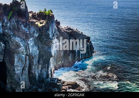 Scogliere di Capo Jogasaki (Capo Jogasaki, Prefettura di Shizuoka) Vista delle onde che si infrangono contro le ripide scogliere lungo la costa di Capo Jogasaki (Izu PE Foto Stock