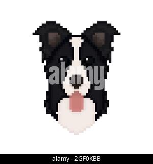 Testa di cane Border Collie in stile pixel art. Illustrazione vettoriale. Illustrazione Vettoriale