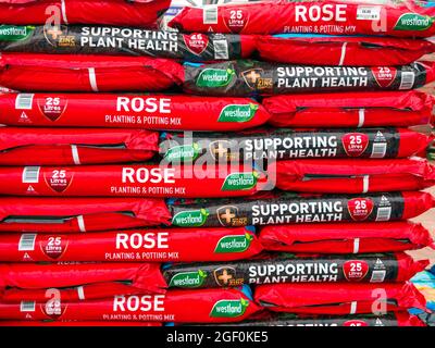 Una pila di borse di Westland Brand Rose Planting e Potting mix in un giardino centro captioned supporting Plant Health Foto Stock