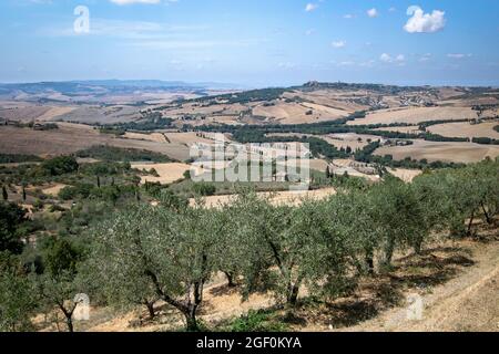 Pienza vista dal paese di Monticchiello toscana Foto Stock