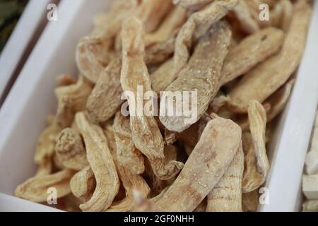 Gastrodia elata blume è una specie di rara medicina cinese. Foto Stock