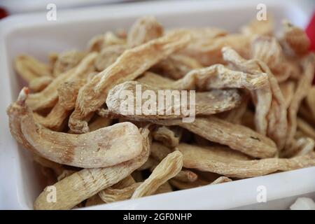 Gastrodia elata blume è una specie di rara medicina cinese. Foto Stock