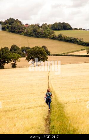 Donna che cammina nelle Chiltern Hills sulla via Chilterns lungo distanza sentiero vicino Stokenchurch Buckinghamshire, Inghilterra. Foto Stock