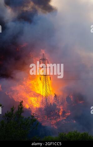 TATOI VARIBOBI Atene, GRECIA - 03 agosto 2021: Gli incendi boschivi delle foreste e degli edifici della Grecia Foto Stock