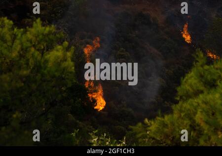 TATOI VARIBOBI Atene, GRECIA - 03 agosto 2021: Gli incendi boschivi delle foreste e degli edifici della Grecia Foto Stock