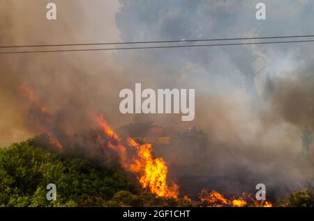 TATOI VARIBOBI Atene, GRECIA - 03 agosto 2021: Gli incendi boschivi delle foreste e degli edifici della Grecia Foto Stock