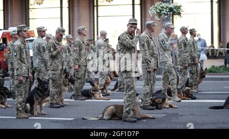 Prova di parata militare, formazione di truppe in occasione della dichiarazione di indipendenza dell'Ucraina nel centro di Kiev in Piazza Indipendenza.30 yea Foto Stock