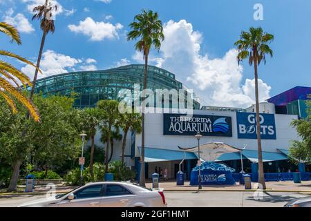 The Florida Aquarium - Tampa, Florida, USA Foto Stock