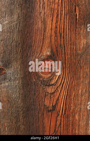 Trama di legno vecchio, ingiallito con nodi, primo piano in alta risoluzione. Foto Stock