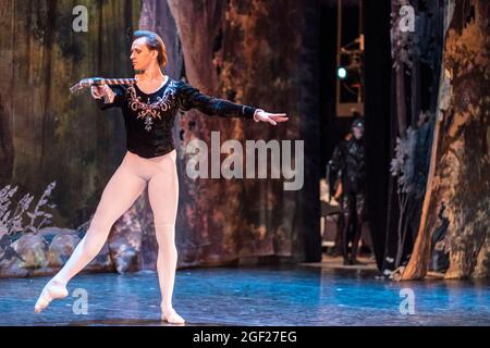 Ballerino di piombo che gioca il ruolo di Siegfried in una produzione russa del lago di Swan in un teatro a San Pietroburgo Foto Stock