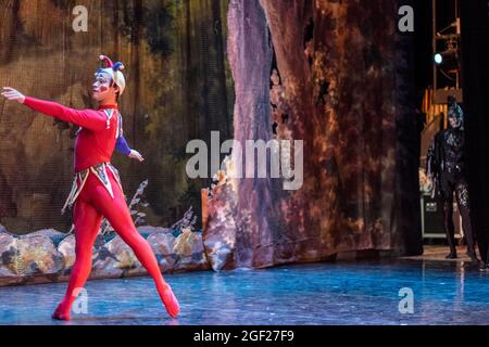 Il jester di corte o araldo esegue la sua danza durante una produzione del lago di Swan a San Pietroburgo, Russia Foto Stock