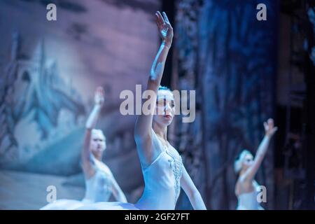 Corps de ballet of Swan Lake danze su un palco a San Pietroburgo, Russia vestito di tutus bianco Foto Stock