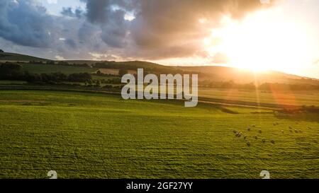 Vista aerea di pascoli e terreni agricoli infiniti e lussureggianti nel Regno Unito. Foto Stock