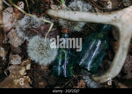 Le bottiglie di vetro sono riempite con ingredienti magici, elisir. Foresta misteriosa. Foto Stock