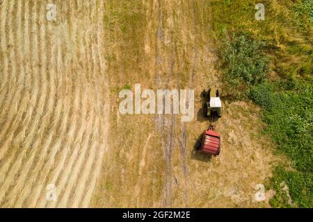 Trattore per la produzione di balle di paglia su campo di grano raccolto. Vista aerea Foto Stock