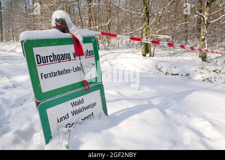 modo bloccato a causa di lavori di legno Foto Stock