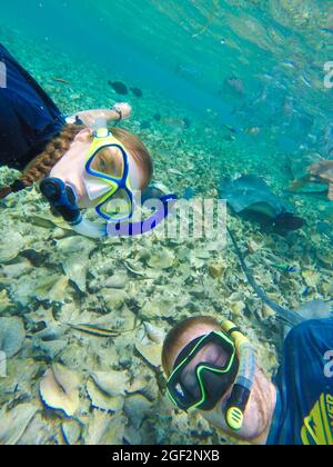 GO SLOW ISLAND, BELIZE - 02 agosto 2018: Una coppia di snorkeling in mare indossando maschere subacquee in Caye Caulker Island, Belize Foto Stock