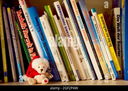 libri per bambini con orso Foto Stock