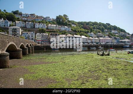 Looe, Cornovaglia, Inghilterra, Regno Unito. 2021. Una grande distesa di erbaccia è esposta sul fondo del fiume a bassa marea lungo il fiume Looe. East Looe un resort e pesci Foto Stock